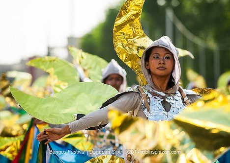 Sabuaga Festival 2014